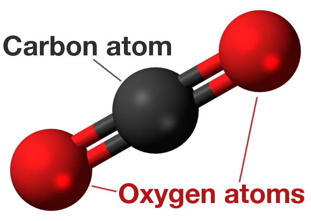 Model showing the structure of CO2